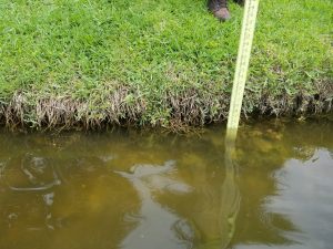Accidental Drowning Slope